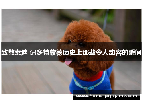 致敬泰迪 记多特蒙德历史上那些令人动容的瞬间