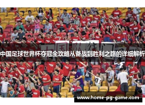 中国足球世界杯夺冠全攻略从备战到胜利之路的详细解析
