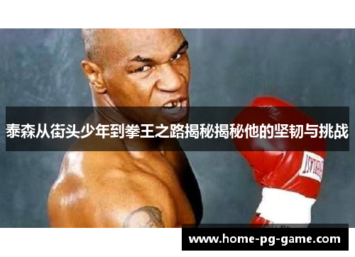 泰森从街头少年到拳王之路揭秘揭秘他的坚韧与挑战