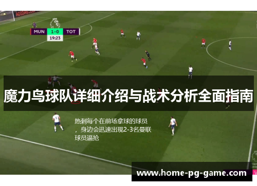 魔力鸟球队详细介绍与战术分析全面指南