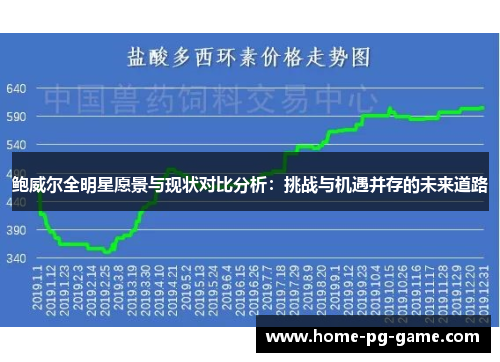 鲍威尔全明星愿景与现状对比分析：挑战与机遇并存的未来道路