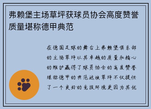 弗赖堡主场草坪获球员协会高度赞誉质量堪称德甲典范 弗赖堡主场草坪获球员协会高度赞誉质量堪称德甲典范